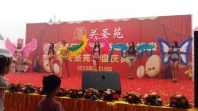 慶典活動(dòng)案例 (2)